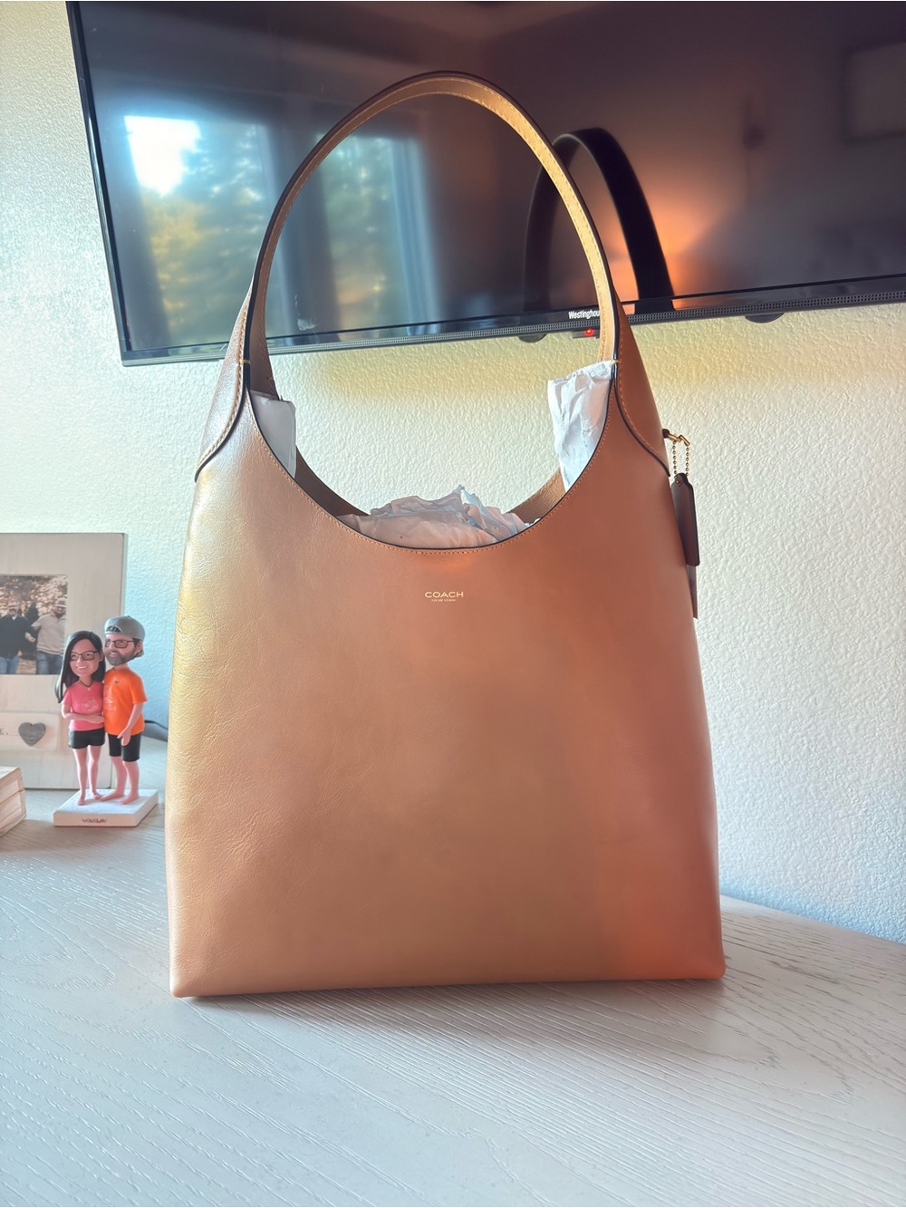 Coach Brown Leather Shoulder Hobo Bag